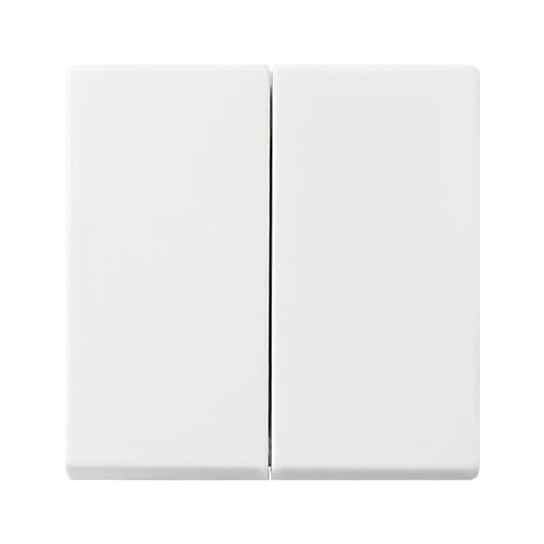 Busch-Jaeger Wippe aws Busch-balance SI 2505-914